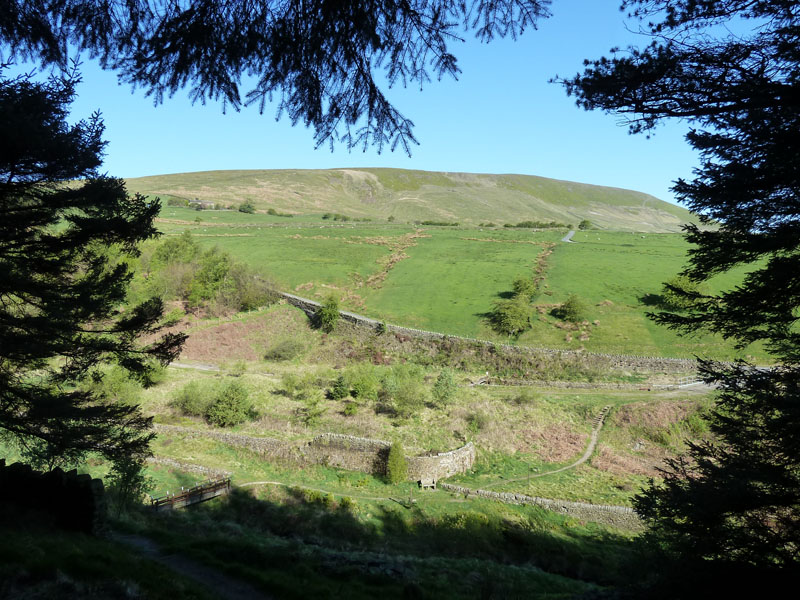 Pendle from Fell Wood